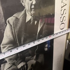Sanford Roth Photograph Pablo Picasso Paris, 1954 Glass Framed Print Rare Artist