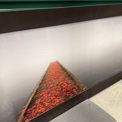 Peter Lik «Secret Morning» 2M Framed Picture 7+ Feet Long Washington Dock