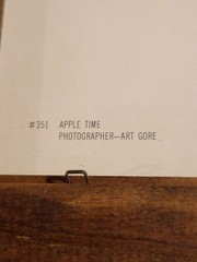 Set of 2 Art Gore Prints in Wooden Frames