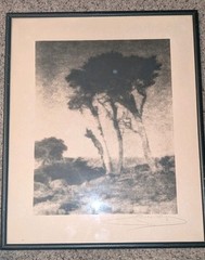 Original 1920 Hand Signed Leopold Hugo ‘Monterey Cypresses» Silver Photo Framed