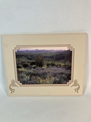 Southwest Sonoran Desert Photo Print,Kokopelli Cut Out Matte
