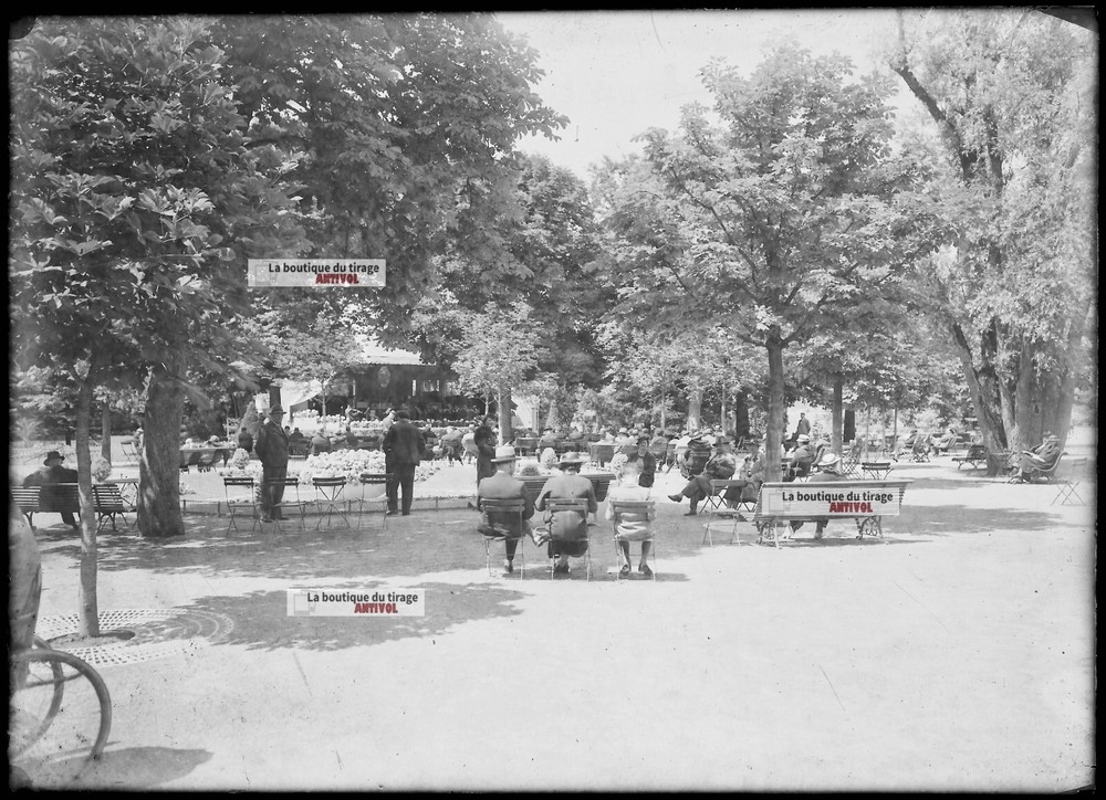 Antique Glass Plate Photo Black and White Negative 13×18 cm Vittel Park