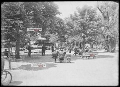 Antique Glass Plate Photo Black and White Negative 13×18 cm Vittel Park