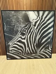 Zebra Black And White Canvas ORIGINAL photograph Print WITH Frame 49”x49”