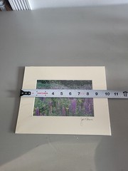Photography Print By John T Slonina Matted 8×10 Field Of Lupine Flowers