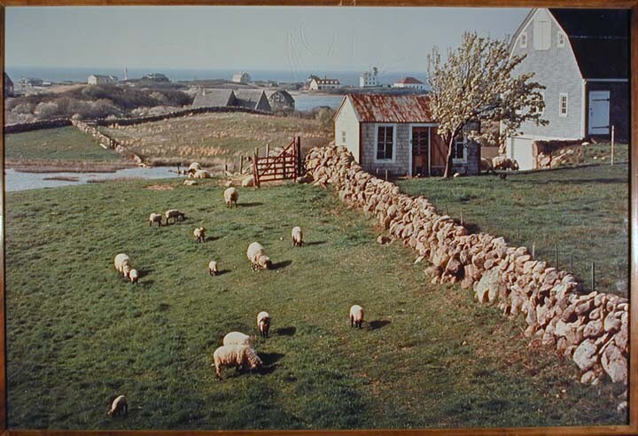 John R. Wells, Sheep Farm, Block Island, 1983