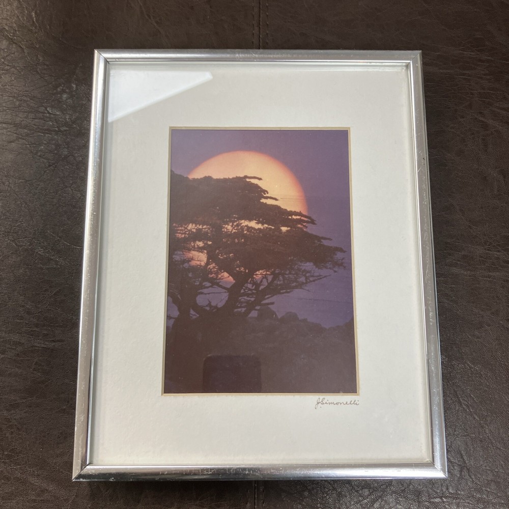 Framed Tree Sunset Signed By J Simonelli 8”x10” Wall Art Print
