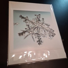 MIKE & DOUG STARN TWINS ‘Sno6_034.1 (Snowflake)’, 2005 SIGNED Photograph **NEW**