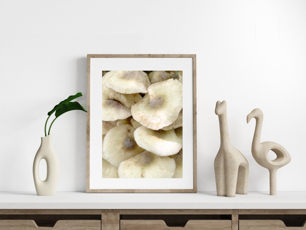 Mushroom Bouquet – Home Decor, Wall Art, Bar Art, Bathroom Bedroom Photography