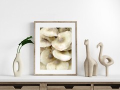 Mushroom Bouquet – Home Decor, Wall Art, Bar Art, Bathroom Bedroom Photography