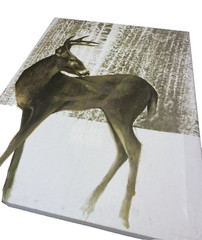 Deer In Snow Forest Print Art Picture Farmhouse Decor New Animal