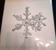 MIKE & DOUG STARN TWINS ‘Sno6_005.1 (Snowflake)’, 2005 SIGNED Photograph **NEW**