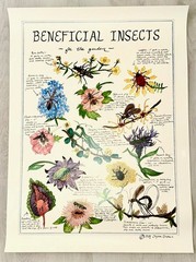 Organic Graphics – Posters Companion Plants / Flowers-Herbs / Beneficial Insects