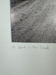 Patricia McGrady Photography – “A Bend In The Road” – Gorgeous Art