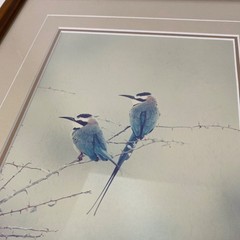 Thomas D Mangelsen Signed & Numbered «African Bee-Eaters» Color Photography