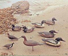 Frank Klay Sepia Photograph Signed «Mason’s» Decoys, Shorebirds 29½» x 26″ LARGE