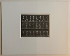 EADWEARD MUYBRIDGE authentic 1887 collotype ANIMAL LOCOMOTION PLATE 70 – lewitt