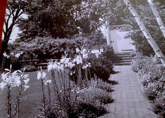SAMUEL H. GOTTSCHO Vintage 1940 Landscape Gelatin Silver Photo on Board 19 x 16