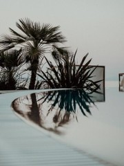 Digital Image Picture Photo Pic Wallpaper Background Palm Trees In Body Of Water
