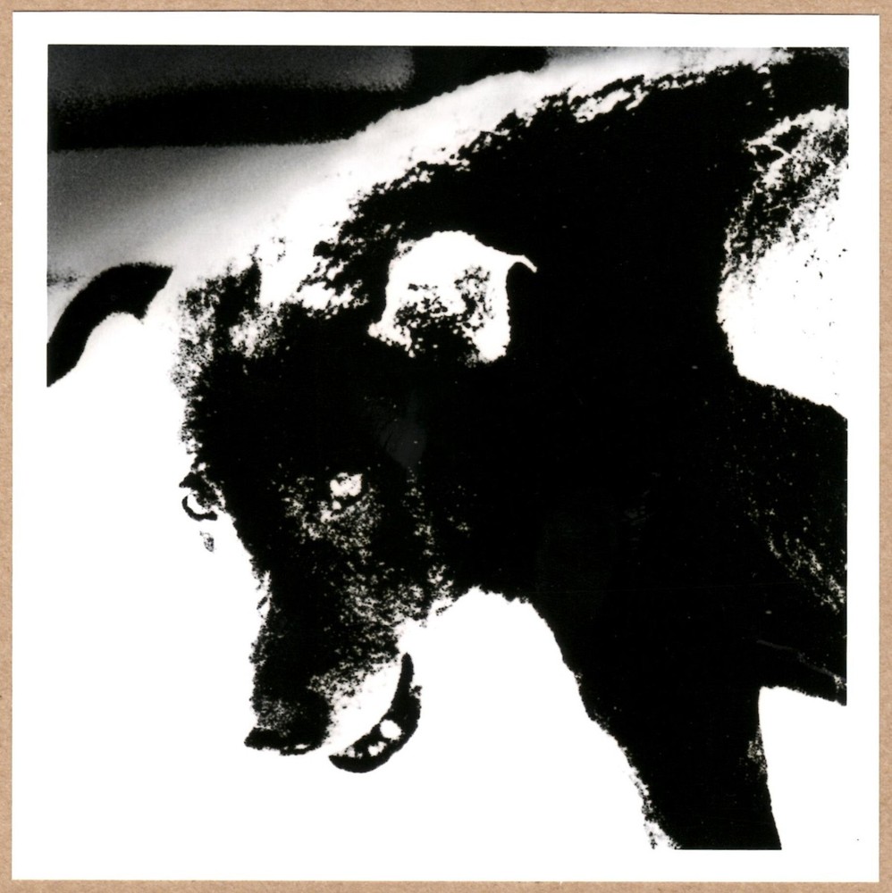 SIGNED DAIDO MORIYAMA Misawa Aomori Japan 1991 LTD 6 x 6 MAGNUM PRINT
