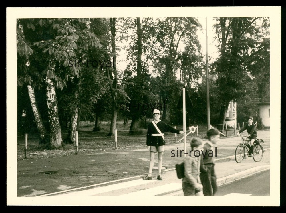 Jungmann is Student Pilot – 1950s 1960s – Photo 10x7cm