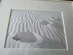 Signed Marilyn Littman Original B&W Photograph Framed Rose Sand Dunes