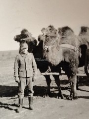 Photo WW2 Soldiers Camel Desert Africa F20