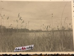 🏰Bundle Lot 8 Photos Beautiful Castle Krickenbeck Nature Lake 1954 Very Good SW 7×10