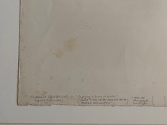 EADWEARD MUYBRIDGE authentic 1887 collotype ANIMAL LOCOMOTION PLATE 402 – lewitt