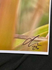 1 of 1 DOUPHU Pineapple Photo SIGNED Print Original Autographed ansel adams art