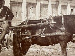 2 Album Photo by Giacomo Brogi circa 1870 Naples Napoli Italy 25x19cm (13+14)