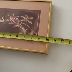 Original Photo Pink Orchid Signed & Framed Estate 1981