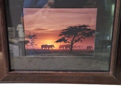 Artwork SUNRISE ELEPHANTS Original James Green Peaceful Nature Photograph 10×12