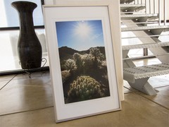 Framed Art Photograph of Southwestern USA Desert Landscape with Sunrise