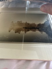 Professionally Matted Photograph ‘Morning Pause’ 15 X 12 New Wrapped May Maine