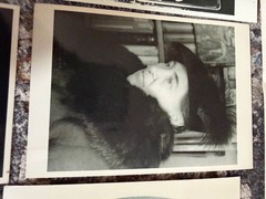 Vintage Photography Art Card Collection – Arnold Newman, Jazz & Cultural Portrai