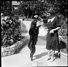 PHOTO NEGATIVE, pretty woman w sweet dog, unusual, 1930’s