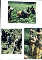 66 Old Photos Authentic Africa Circa 1950/1960, Various Dimensions