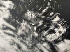 Arno Rafael Minkkinen «Waiting for the Snake» Silver Gelatin Signed Numbered
