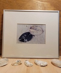 Framed Beach Photography Coastal Neutral Wall Art Leaves on Sand Signed