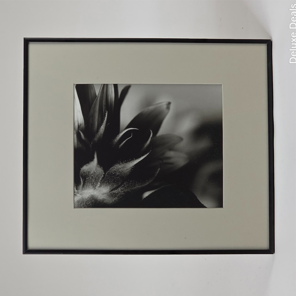 Steven Michael Bogdonas | Fuzzy Does It, 2001, Original Print