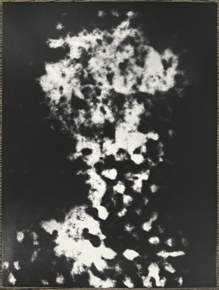 Astrid Klein, decision maker, photogram, 1986, autographed