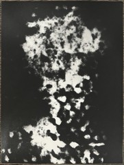 Astrid Klein, decision maker, photogram, 1986, autographed