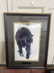 Tom Mussehl Lobo Love Wildlife “MAKE MY DAY” Wolf Photo Print w/ Name Plate