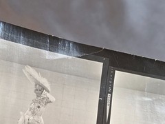 NEWLY FOUND! Hendrickson PHOTO Contact Sheet Proof JULIET PROWSE IN GOWN & HAT
