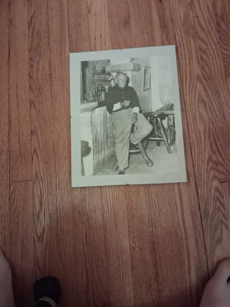 Pablo Picasso Picture