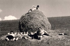 Photography Hay Harvest Leisure Photo Young People Baling Hay (K1060)