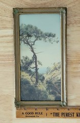 FREDERICK W. MARTIN Hand-Tinted Hand-Color Photo Torrey Pines 8.75″ x 4.75″ VGC