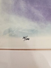 Thomas D. Mangelsen WIND SONG Polar Bears Hudson Bay Photograph 10″x14″ 716/1200