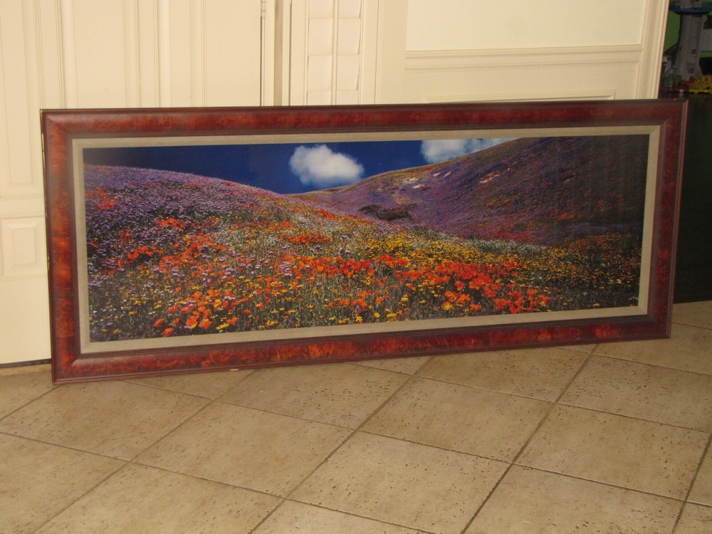 Thomas Mangelsen «Tapis Magique» Original Photograph 22″x68″ 736/2500 Flowers